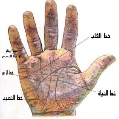 بالصور .. تعلم ببساطة كيف تقرأ الكف عن طريق خطوط اليد - ارب حظ