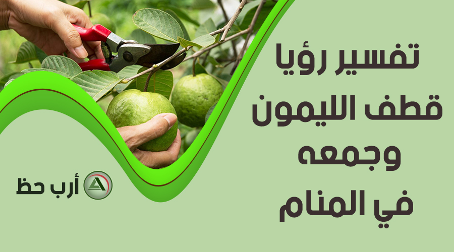 تفسير قطف وجمع وزراعة الفواكه في المنام معاني اشجار الفواكه في