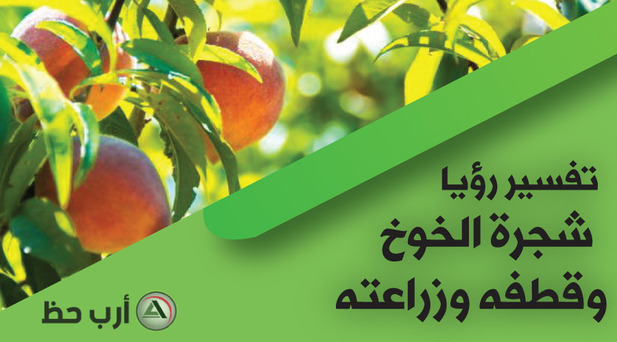 تفسير قطف وجمع وزراعة الفواكه في المنام معاني اشجار الفواكه في